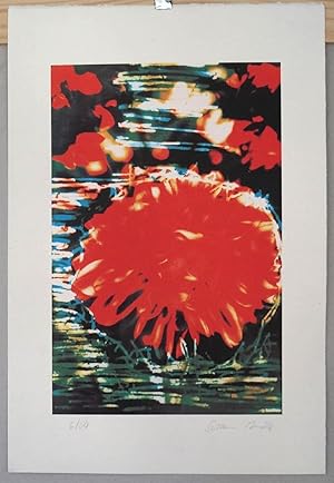 Susanne Mölle: Seerose Druck /Serigrafie,