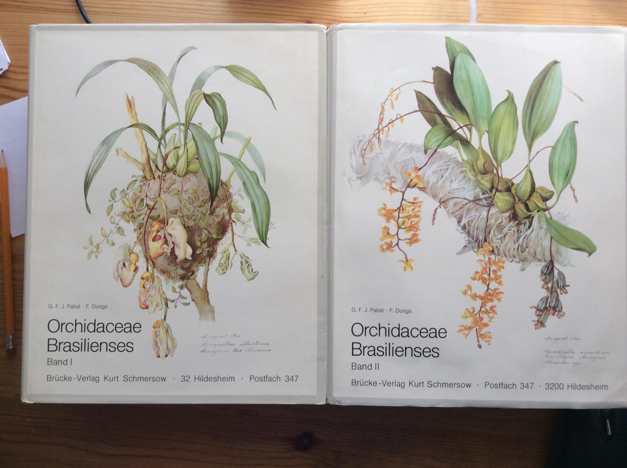 europaische_und_mediterrane_orchideen-eine_bestimmungsflora_mit_berucksichtigung