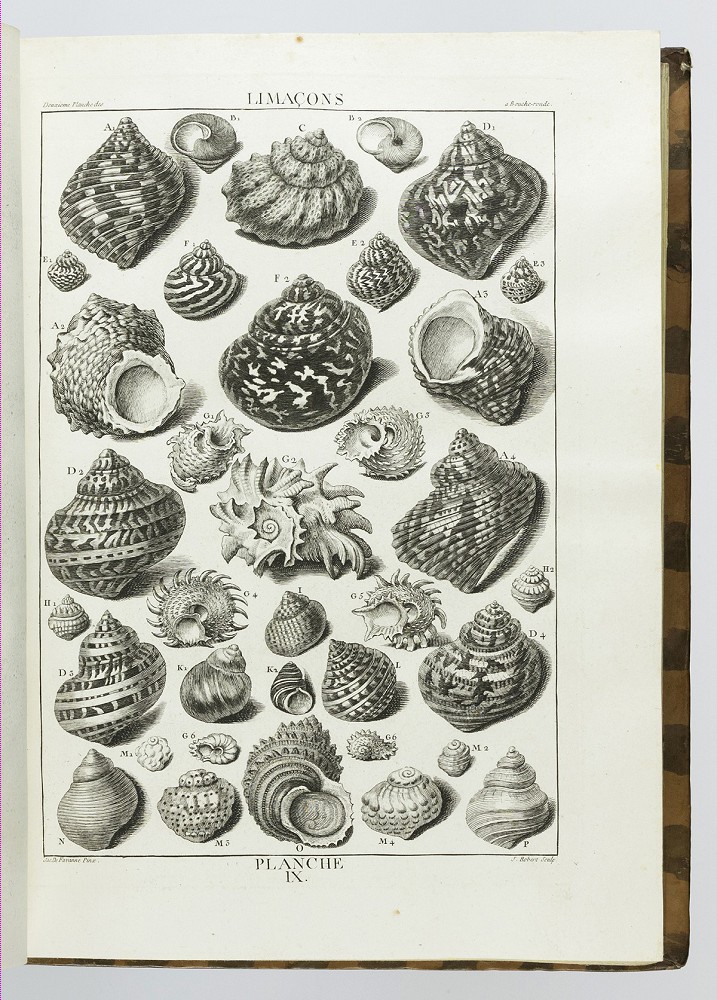 natures engraver zvab 22409806406 3 jpg
