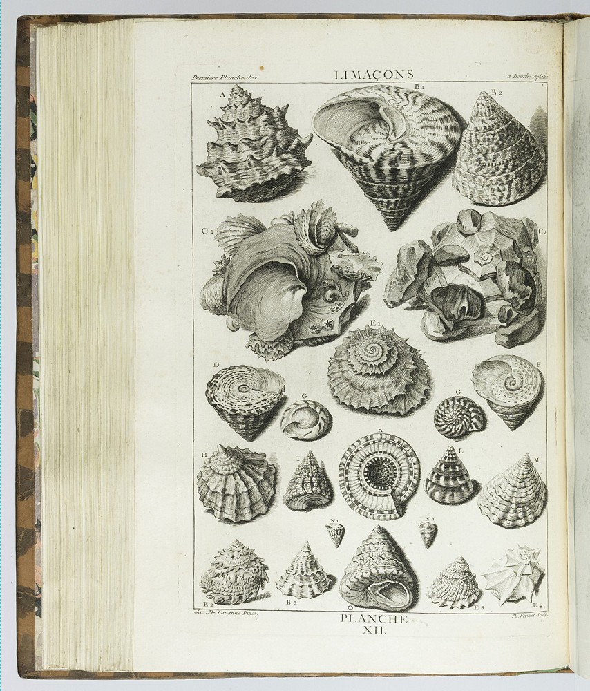 natures engraver zvab 22409806406 4 jpg