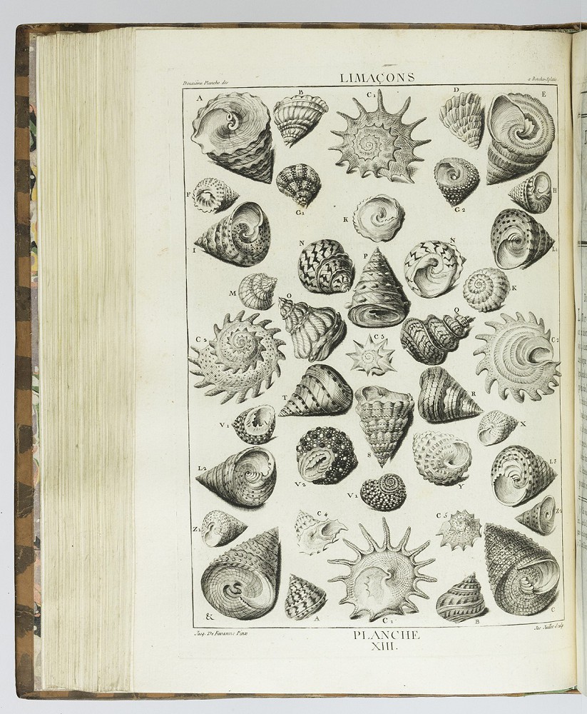 natures engraver zvab 22409806406 5 jpg