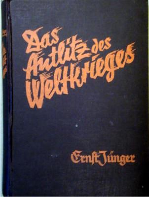 Das Antlitz des Weltkrieges. Fronterlebnisse deutscher Soldaten.