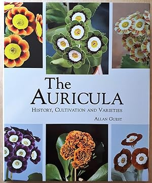 The Auricula: history, cultivation and varieties