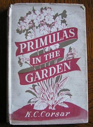 Primulas in the Garden