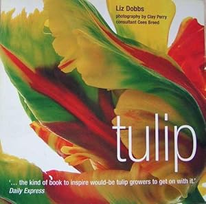 Tulip