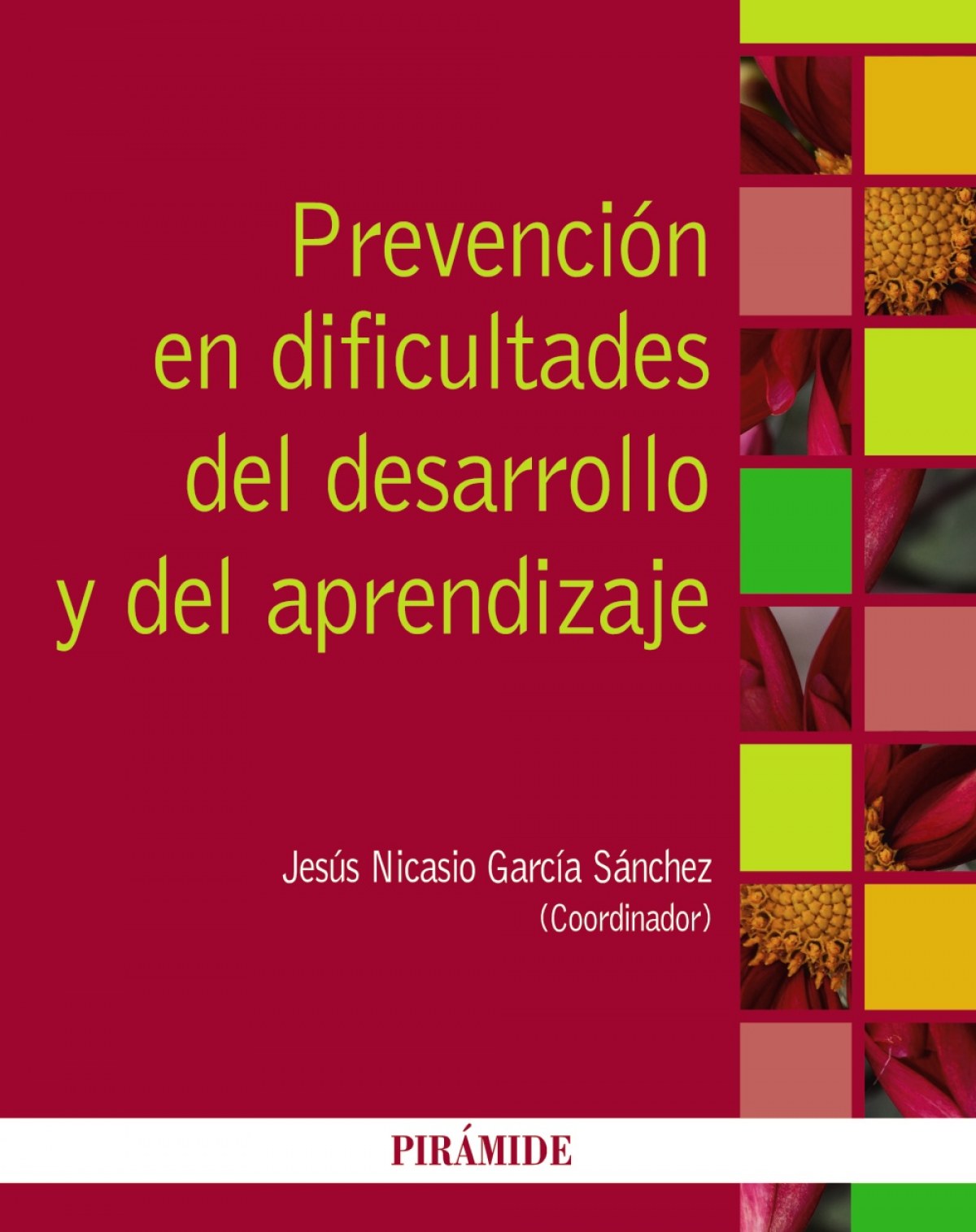 Prevencion de las dificultades del desarrollo y aprendizaje - García-Sánchez, Jesús Nicasio