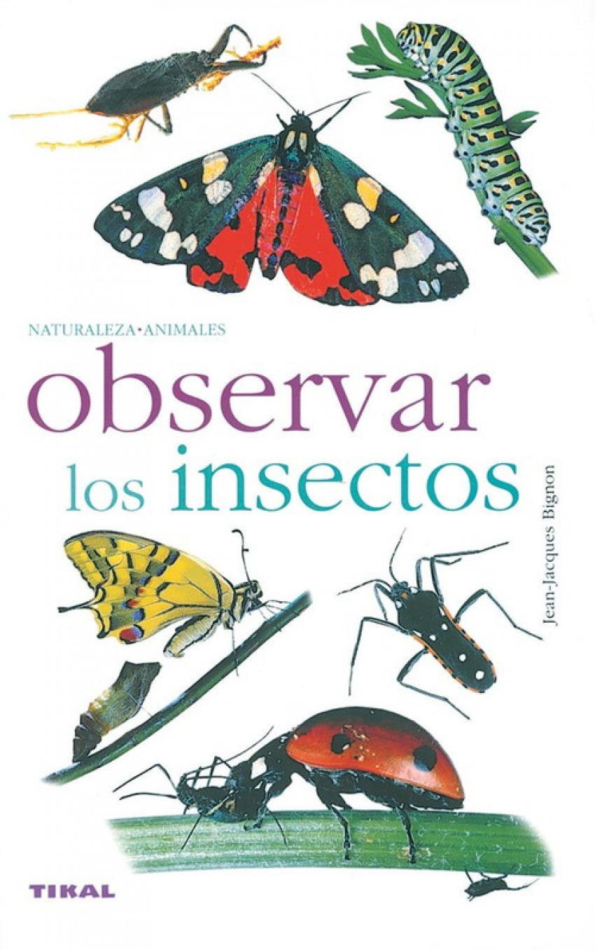 Observar los insectos - Bignon, Jean-Jacques