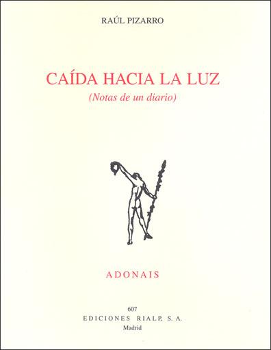 Caída hacia la luz (notas de un diario) - Pizarro Pérez, Raúl Salvador