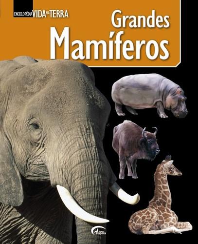 MamÍferos - Vv.Aa.