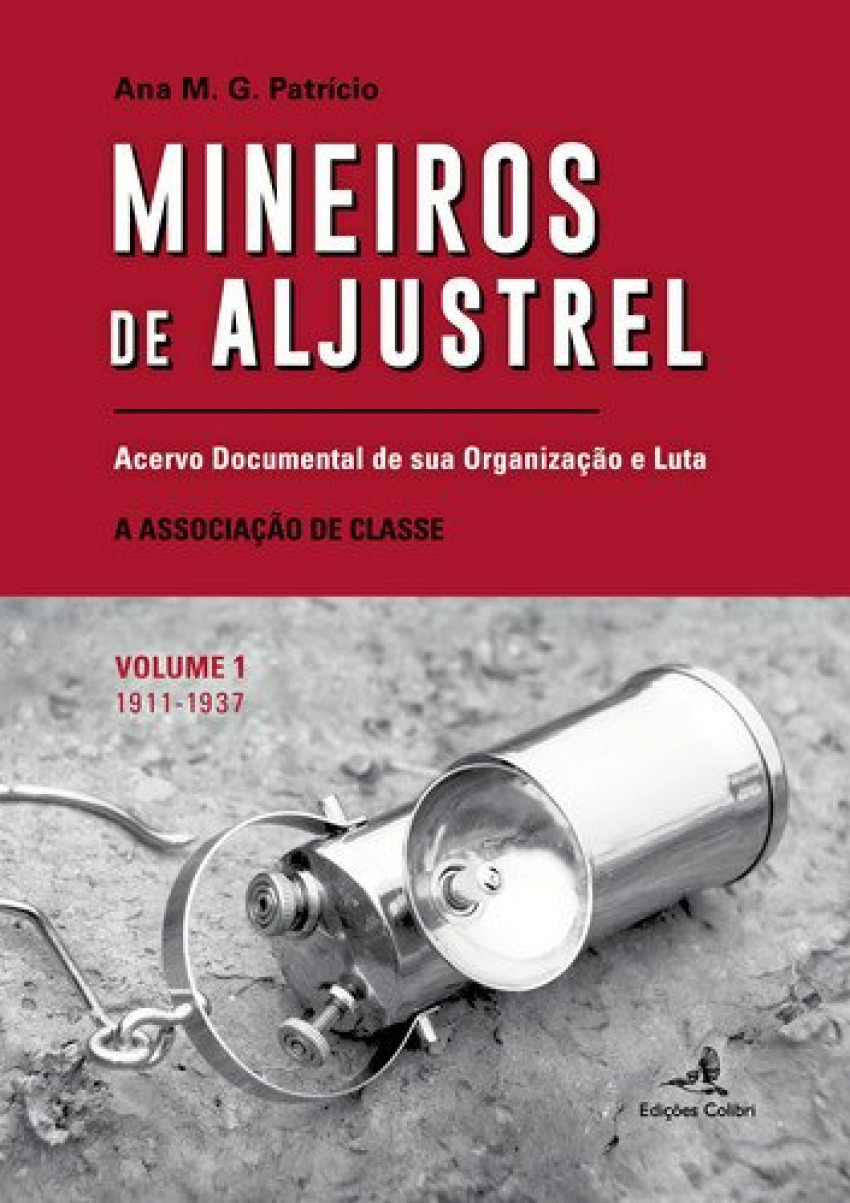 Mineiros de aljustrel: (vol. 1)acervo documental de sua organizaÇÃo e luta - M. G. Patrício, Ana