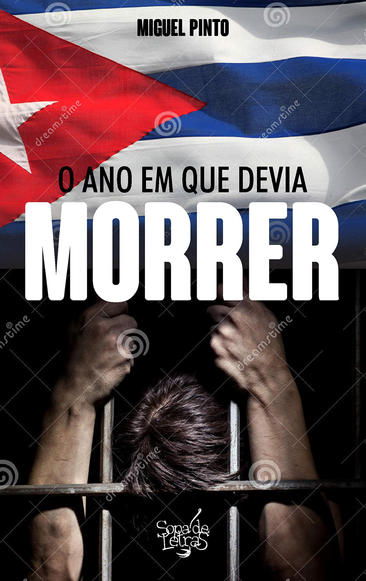 O Ano em que Devia Morrer - Miguel Pinto