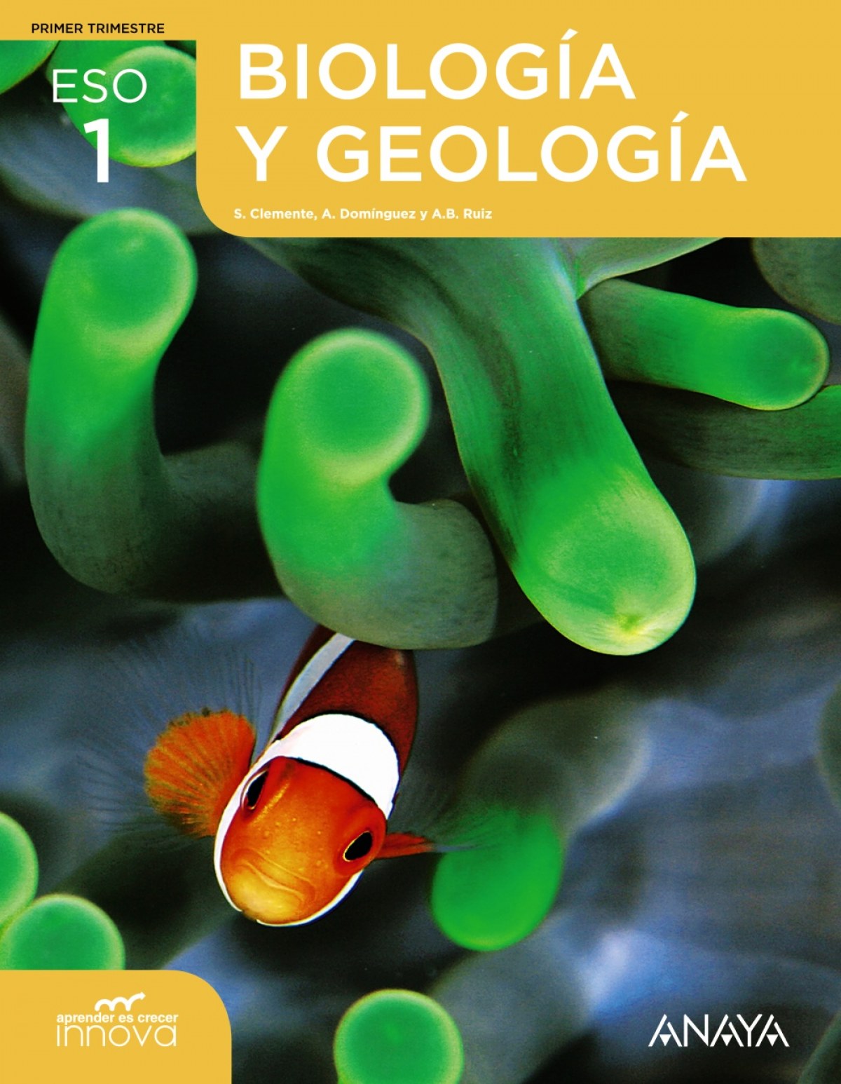 Biología y Geología 1. - Clemente Roca, Silvia/Domínguez Culebras, M.ª Aurora/Ruiz García, Ana Belén