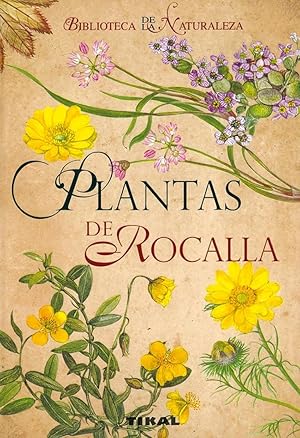 Plantas de rocalla