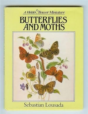 Butterflies and Moths: a Webb & Bower Miniature