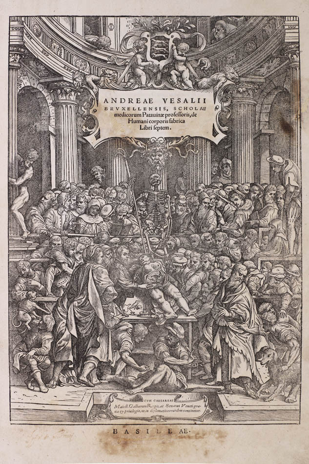 de humani corporis fabrica libri septem
