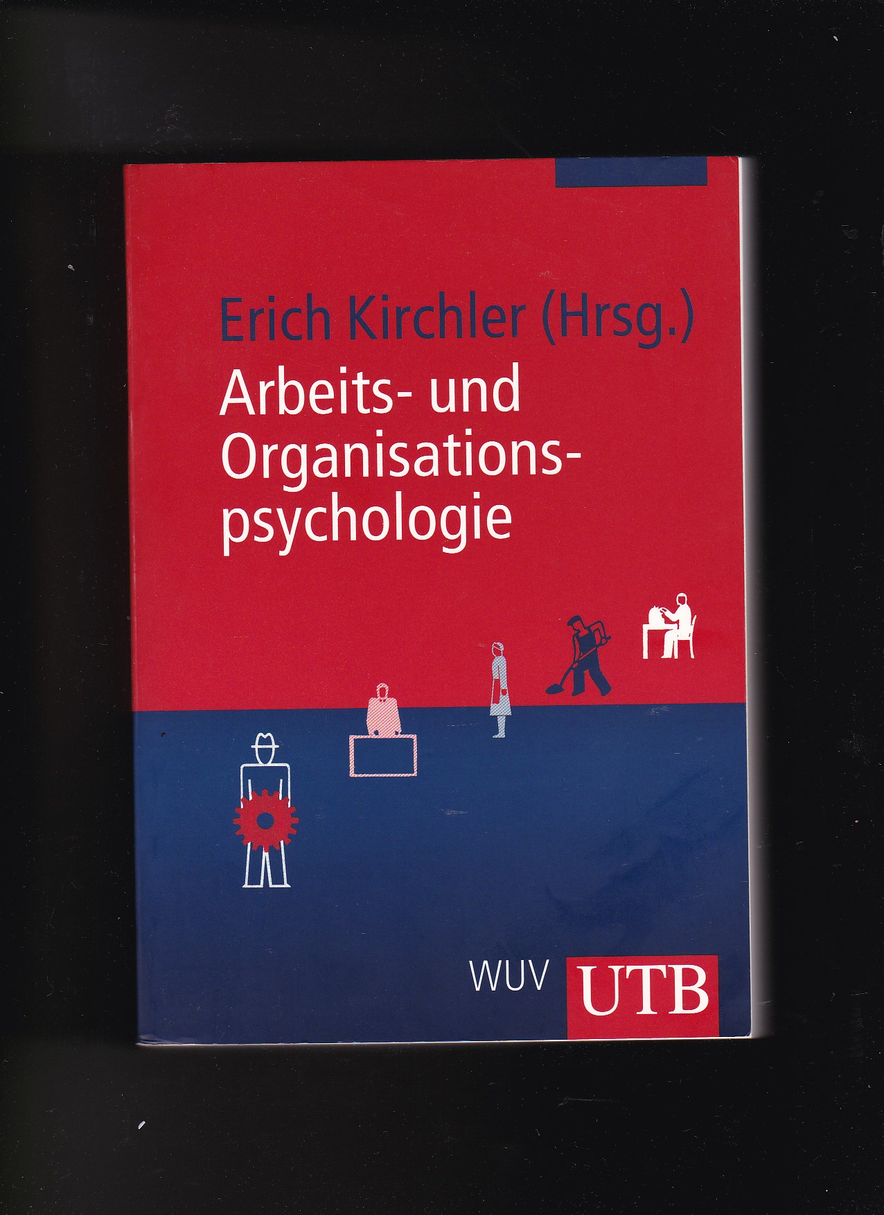 Erich Kirchler, Arbeits- und Organisationspsychologie - Kirchler, Erich (Herausgeber)