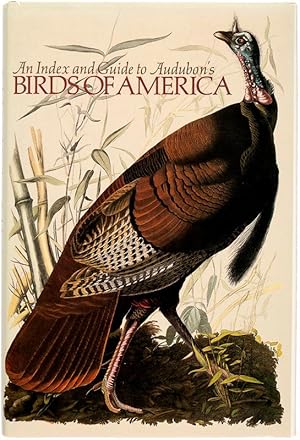 Common American Swan Ariel Press FOLIO Audubon Birds of America