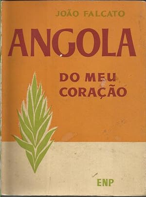 Angola do Meu Coração, Uma Visão de Angola