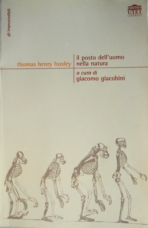 parassita nel cricket di cammello parassita nel cricket di cammello