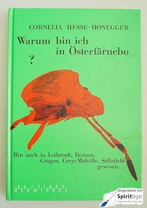 Warum bin ich in Österfärnebo?