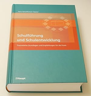 Schulführung und Schulentwicklung