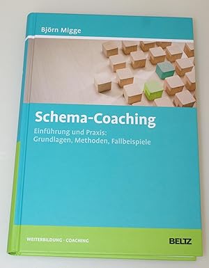 Schema-Coaching