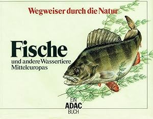 Wegweiser durch die Natur - Fische und andere Wassertiere Mitteleuropas.