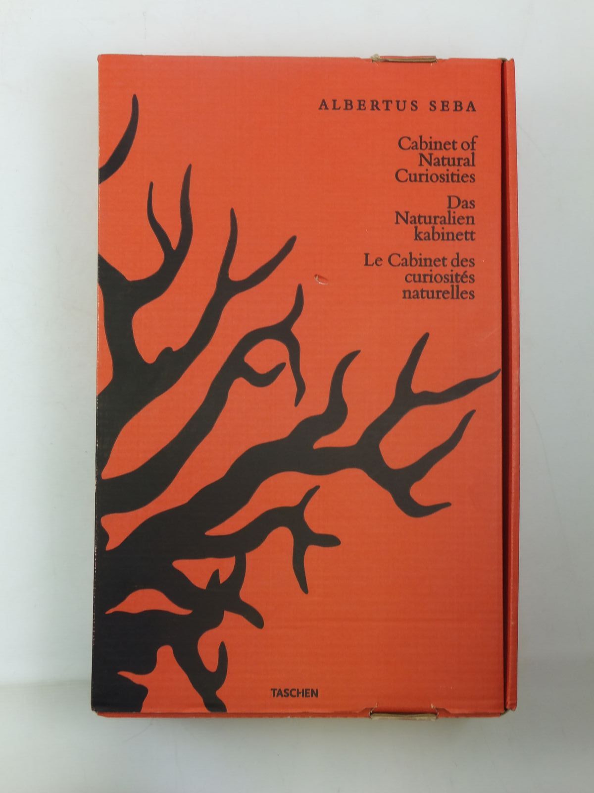 Cabinet Of Natural Curiosities By Seba Albertus Taschen
