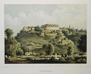 Blick über die Unstrut zum Schloss "Vitzenburg".
