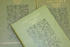 The Ferns (Filicales). Treated Comparatively with a View to their Natural Classification. - [3 Bä...