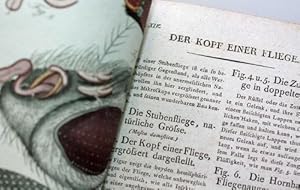 Bilderbuch zum Nutzen und Vergnügen der Jugend, enthaltend eine angenehme Sammlung von Thieren, P...