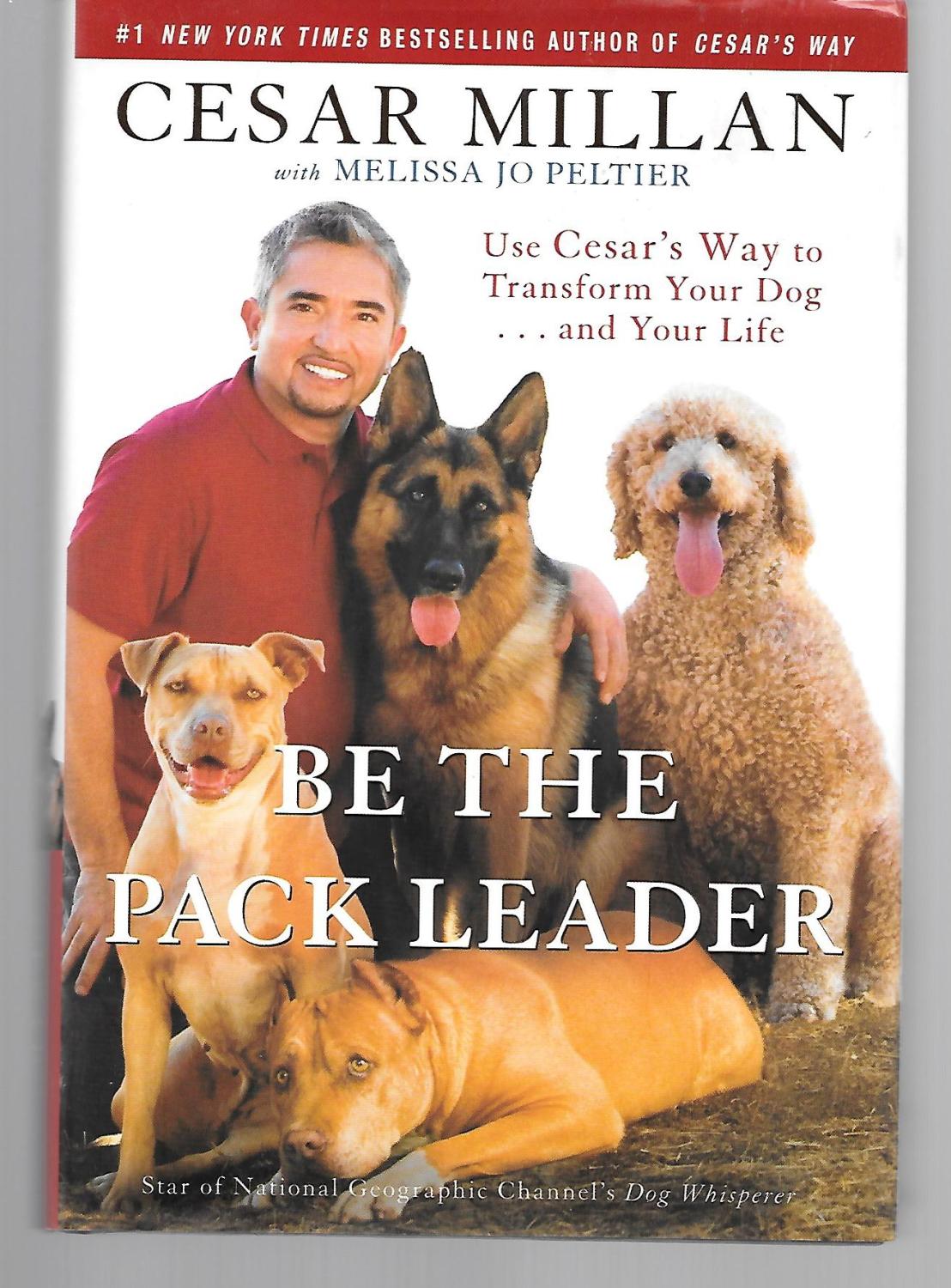 Dog Whisperer Book