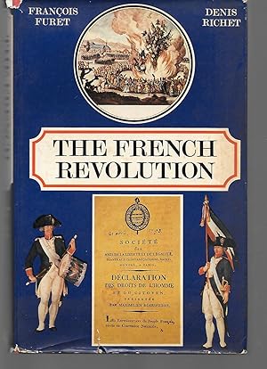 Furet french revolution summary essay