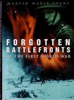 Forgotten Battlefronts of the First World War