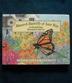 Monarch Butterfly of Aster Way - a Smithsonian's Backyard Book (Mini book)