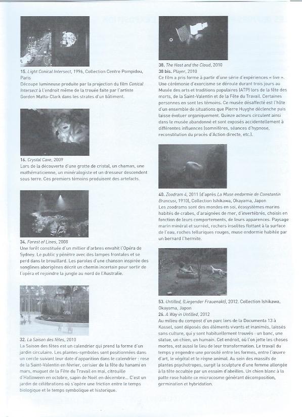 Pierre Huyghe Guide Du Visiteur