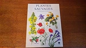 Plantes sauvages