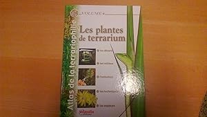 Les plantes de terrarium