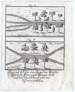 A River To Cross Zvab