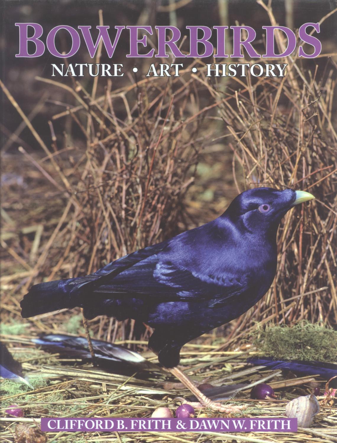 Bowerbirds: Nature, Art, History - Frith, Clifford B., and Frith, Dawn W.