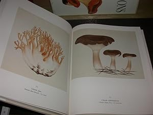 Les champignons - Complet du fascicule avec 8 planches en couleurs