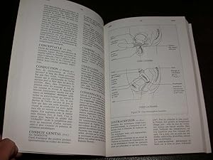 Dictionnaire de sciences biologiques du collège à l'université