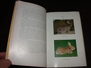 Guide de l'élevage du lapin - Rentabilité et Médecine