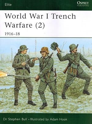 World War I Trench Warfare (2).