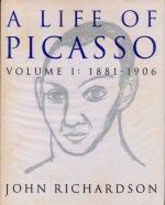 Image result for A Life of Picasso (1991 - ): The Prodigy, 1881-1906 (Vol 1).