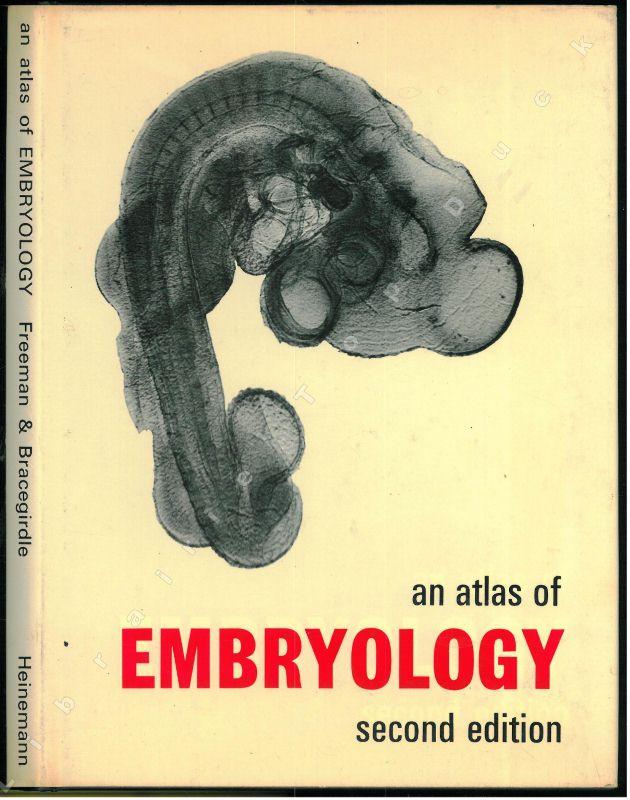 atlas of embryology