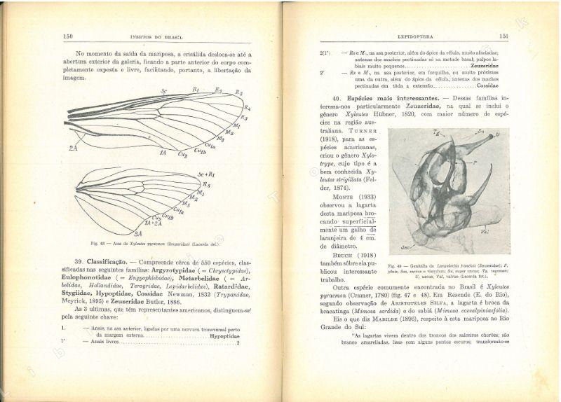 view insights and illusions of philosophy