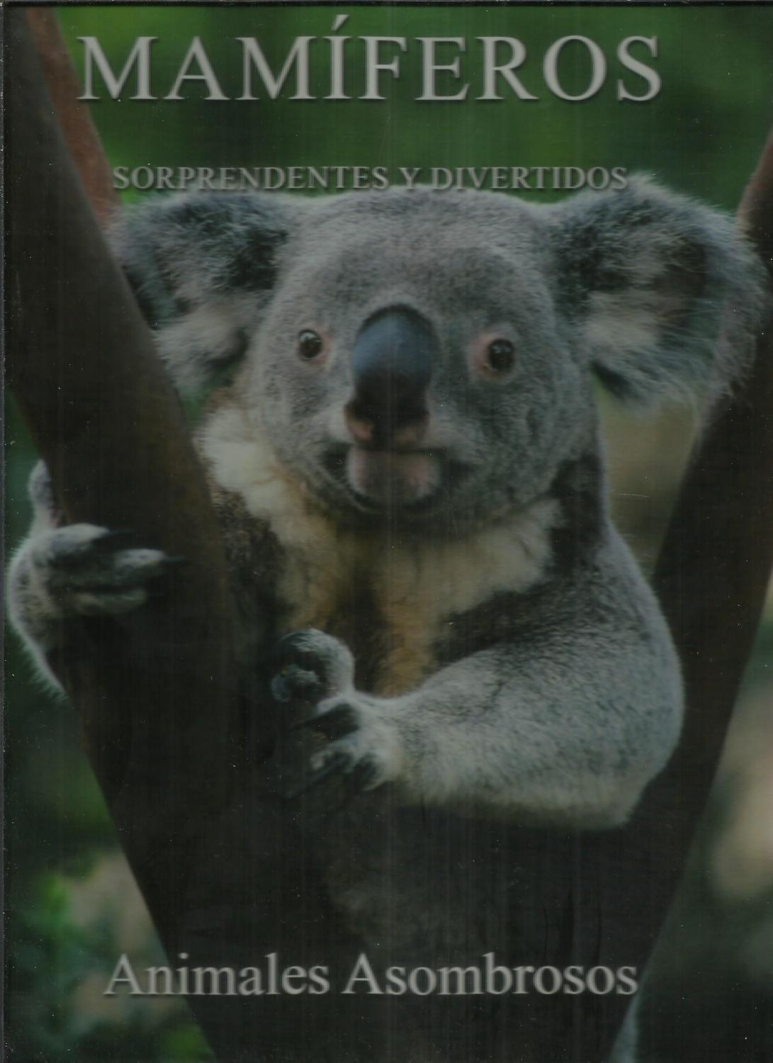 Mamíferos : soprendentes y divertidos