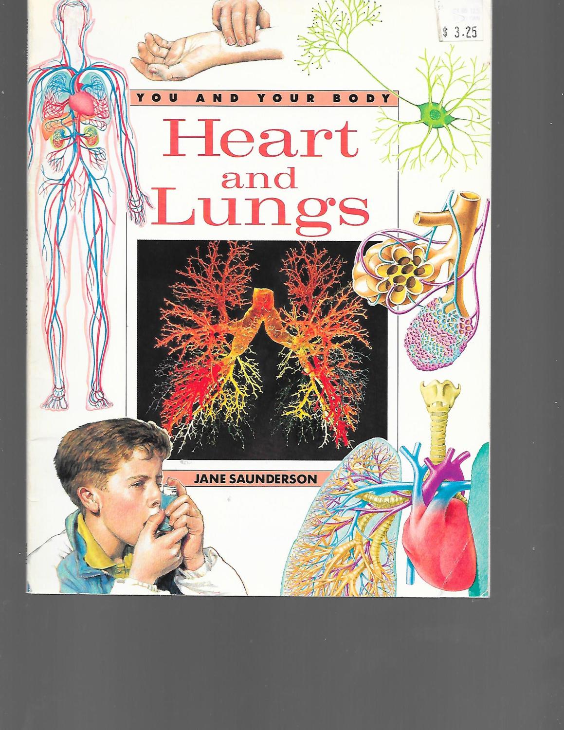 Heart & Lungs - Pbk (You and Your Body Series) - Saunderson