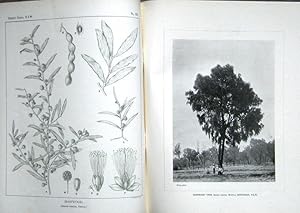 The Forest Flora of New South Wales. Volume 1 - Volume VIII (lacking two parts, otherwise a compl...